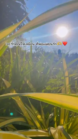 ถ้าได้รักคุณ