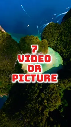7 video or picture 