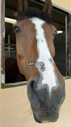 how.