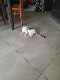 repose en paix 