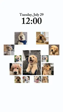 Dog wallpaper 