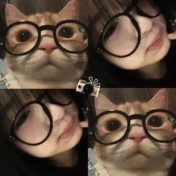 Glasses