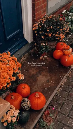 autumn is coming