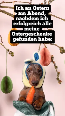 Hund isst Karotte 🥕 
