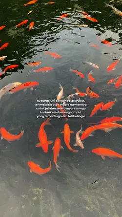kututup juni