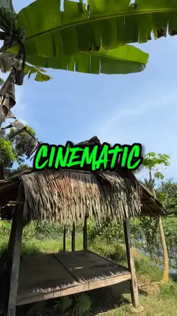 CINEMATIC