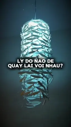 [2] LDNDQLVN?