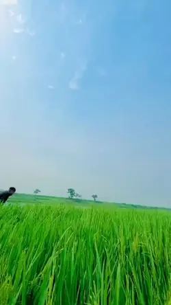 cupid duet video