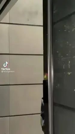 aşığım aşık çal bu 