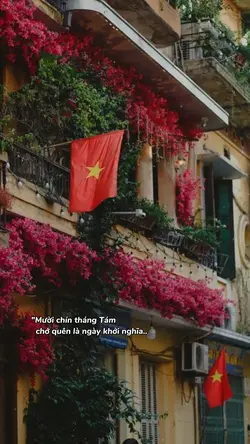 19 tháng 8