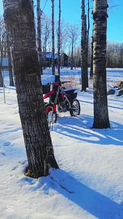 crf250r edit