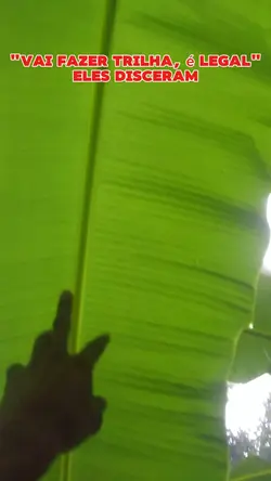 Nada como uma trilha