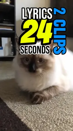 U got 24 seconds