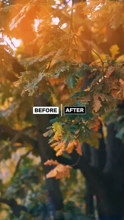 BEFORE VS AFTER