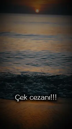 Çek cezanı!!!
