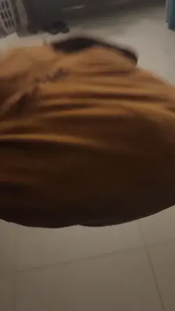 bounce prt. 2