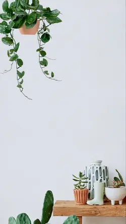 Senyumlah syukuri