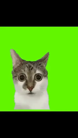 Greenscreen