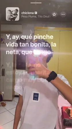 CHICLONA PESO PLUMA
