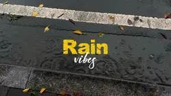 Rain Vibes