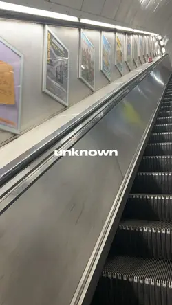 Gang (5 Videos)
