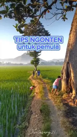 tips ngonten