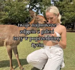 XD