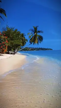 seperti alunan