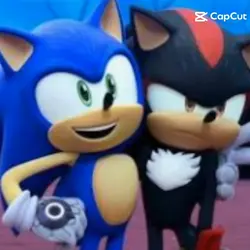 Sonic x Shadow