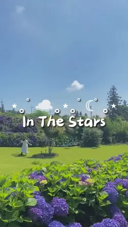 In The Stars 