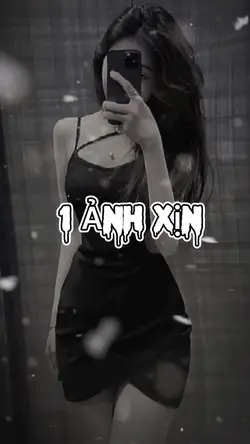 1 ảnh trình chiếu 