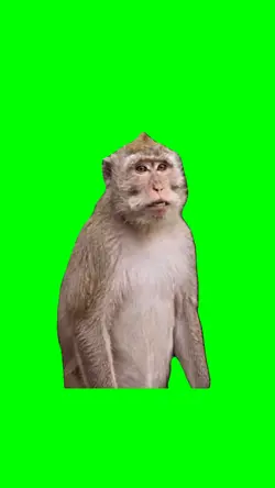 monkey apex dance