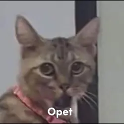 OPET