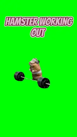 Hamster working out 