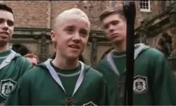 Draco 💚