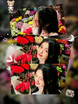 3 collage 