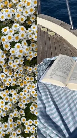 scrolling video 