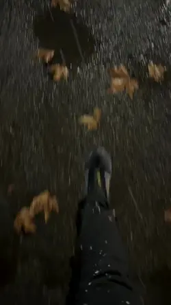 song sad 