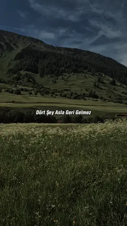 Dört Şey Asla