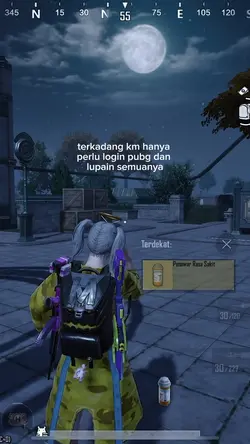 quotes pubg story