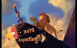 Gender reveal: Boy