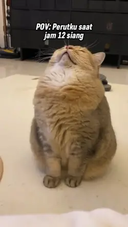 Bunyi Perut lucu