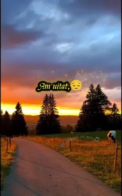 Am uitat să mai ...