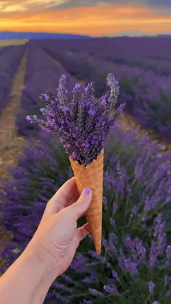 video estetik