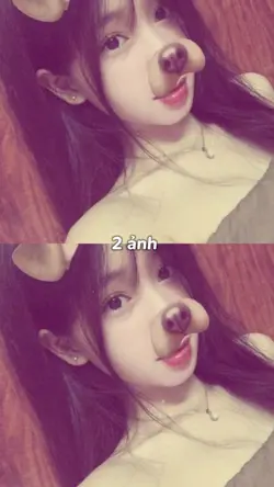 2 ảnh 