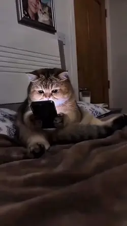 viral tik tok 