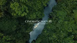 Cinematic Nature