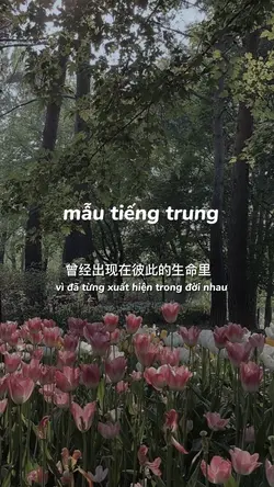 cap tiếng trung