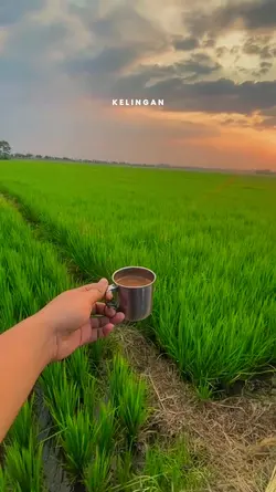 kelingan manis