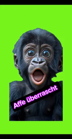 Affe überrascht 